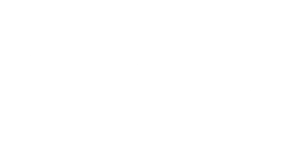 aod_horiz_light_lg.png